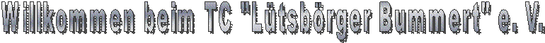 Willkommen beim TC "L�tsb�rger Bummert" e. V.
